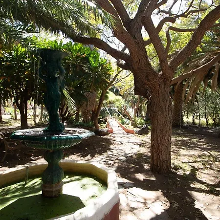 Apartamento El Flamboyan Agaete Valley *