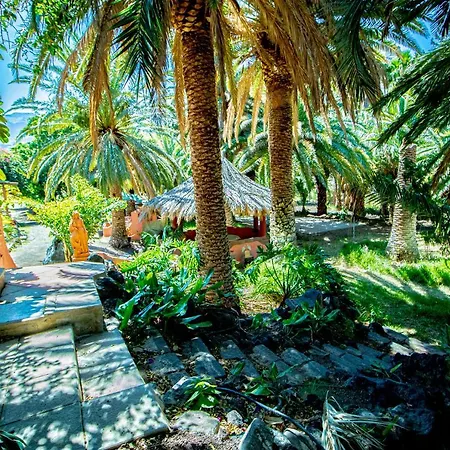 El Flamboyan Agaete Valley Agaete (Gran Canaria)