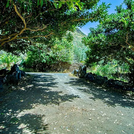El Flamboyan Agaete Valley Apartamento *