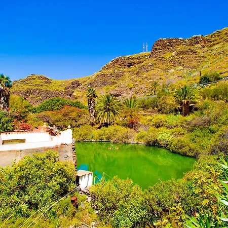Apartamento El Flamboyan Agaete Valley