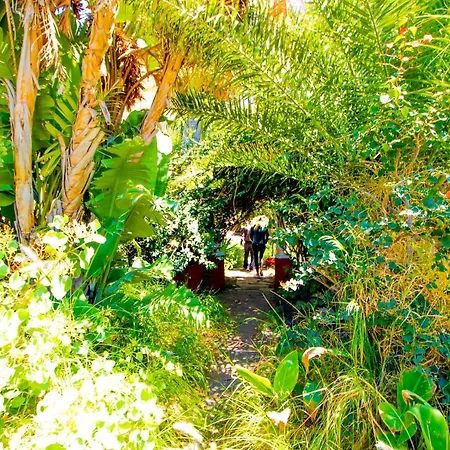 Apartamento El Flamboyan Agaete Valley *
