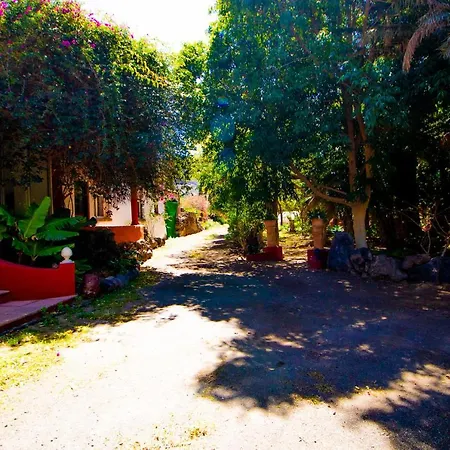 El Flamboyan Agaete Valley Agaete (Gran Canaria)