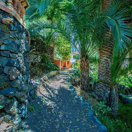 El Flamboyan Agaete Valley
