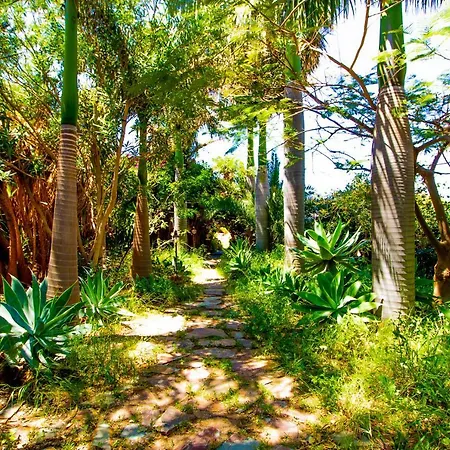 El Flamboyan Agaete Valley Agaete (Gran Canaria)