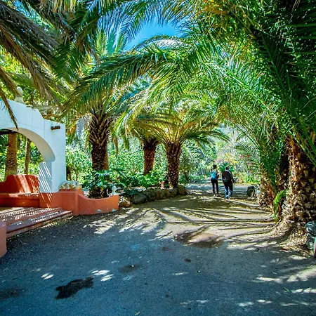 El Flamboyan Agaete Valley Agaete (Gran Canaria)