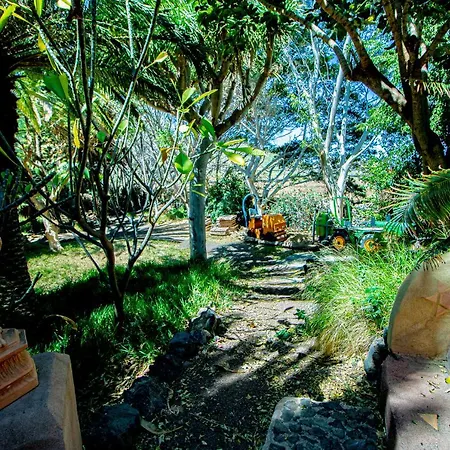 Apartamento El Flamboyan Agaete Valley Agaete (Gran Canaria)