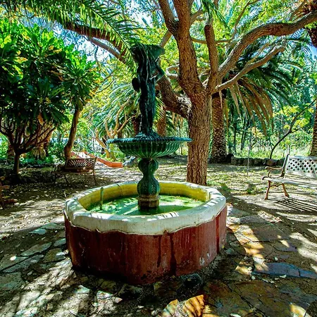 Apartamento El Flamboyan Agaete Valley *